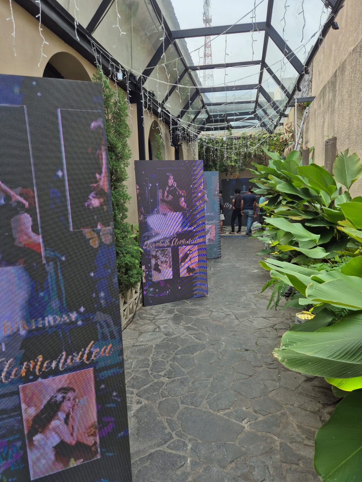 LED Screen